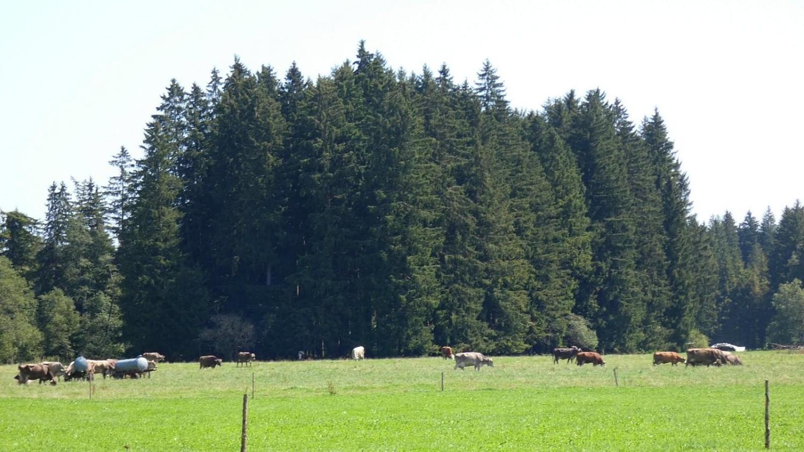 Ferienwohnung Nr 5, Lechbruck-Gruendl, Allgaeu Prem Dış mekan fotoğraf